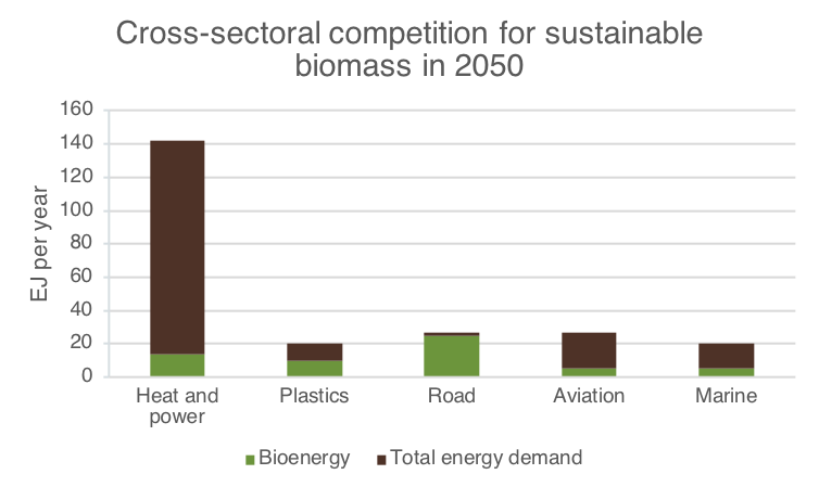 competition for sustainable biomass in 2050
