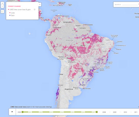 The map seems to show deforestation only before 2007