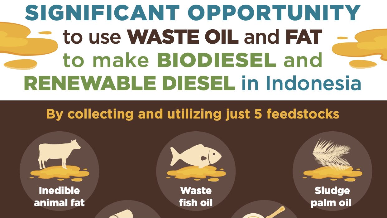 Opportunities for waste fats and oils as feedstocks for biodiesel and