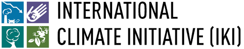 International Climate Initiative