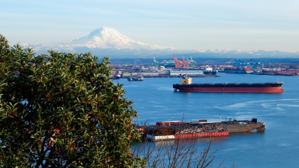 ships in harbor at Port of Tacoma