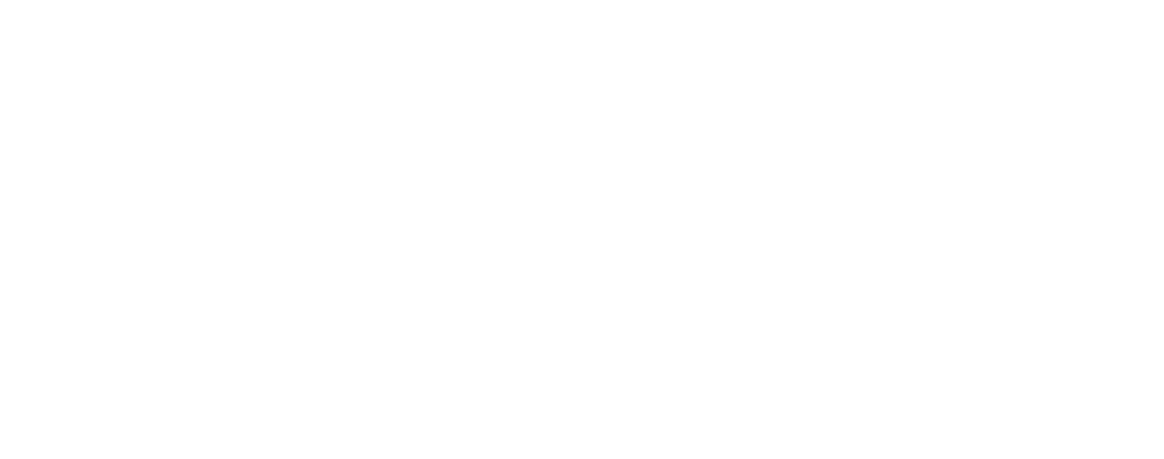 ICCT 20 - Celebratoing 2 decades of clean transportation policy