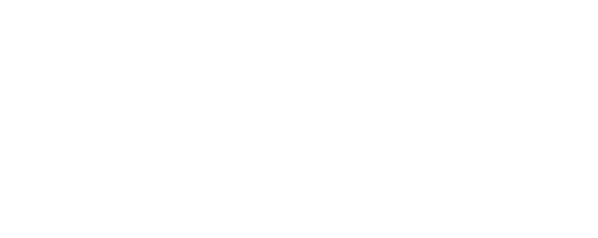 ICTS25 logo white